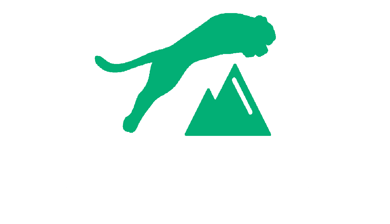 CareerCat Logo